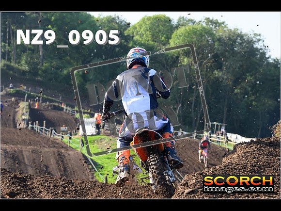 Experts-115