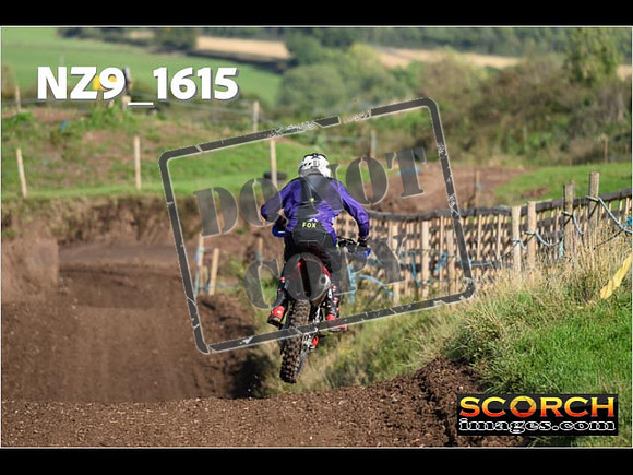 Experts-296