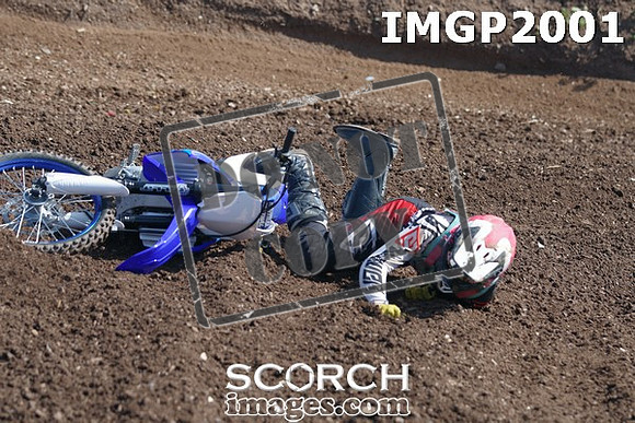 IMGP2001