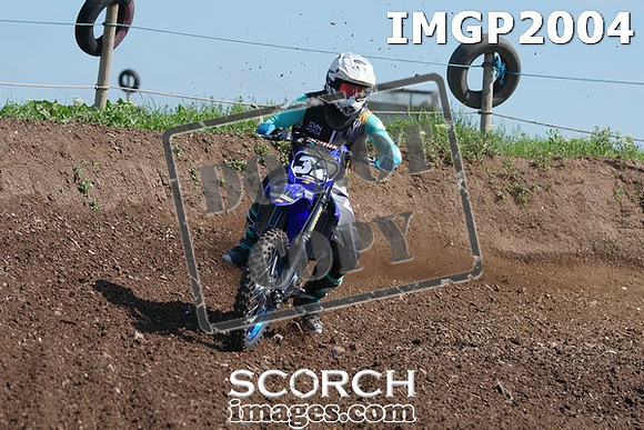 IMGP2004