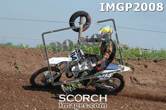IMGP2008