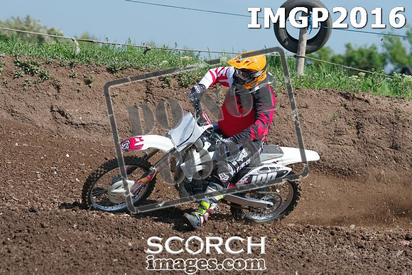 IMGP2016