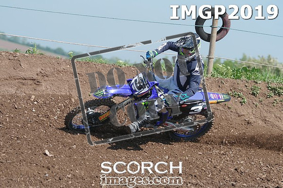 IMGP2019