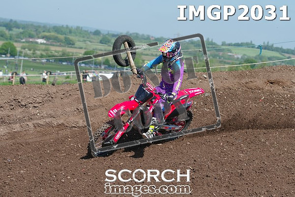 IMGP2031