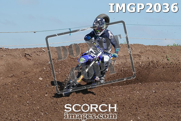 IMGP2036