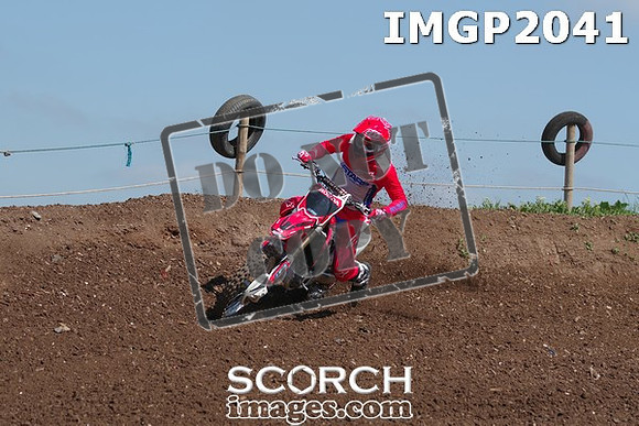 IMGP2041