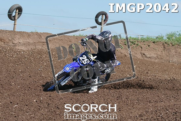 IMGP2042