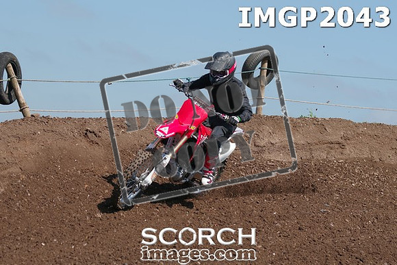 IMGP2043