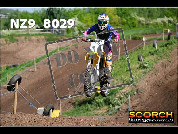 InterGreen-084