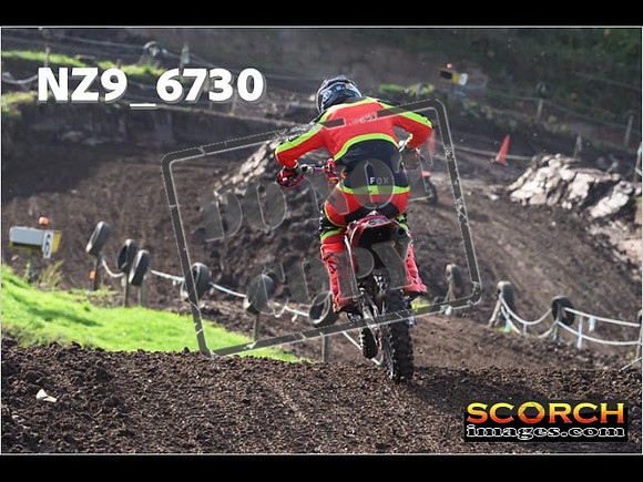 Experts-124