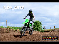 IntersGreen-019
