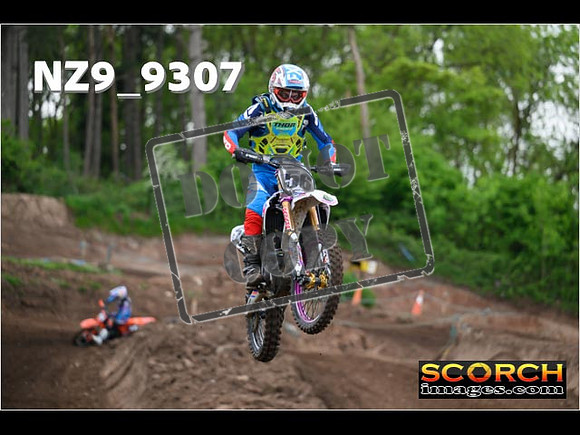 Experts-028