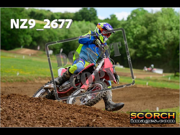 Novice-266