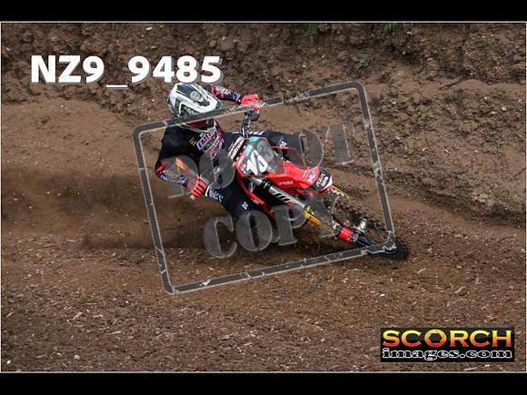 Experts-008