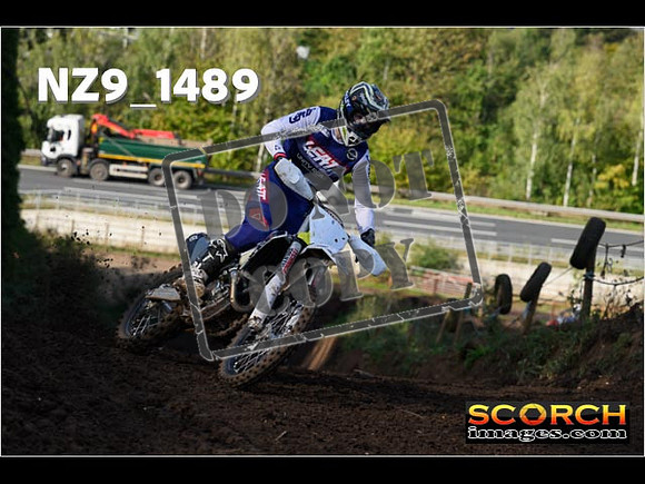 Experts-181