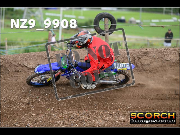Experts-131