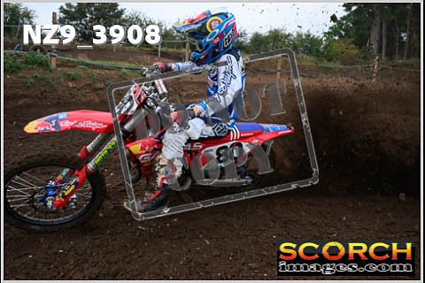 Experts-035