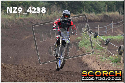 Experts-091