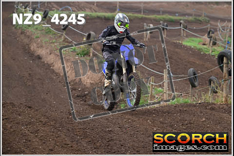 Experts-098