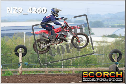 Experts-113