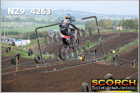 Experts-116