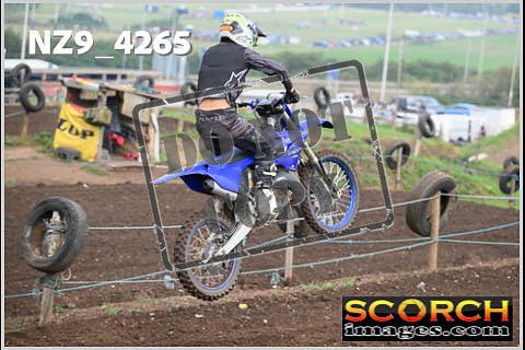 Experts-118