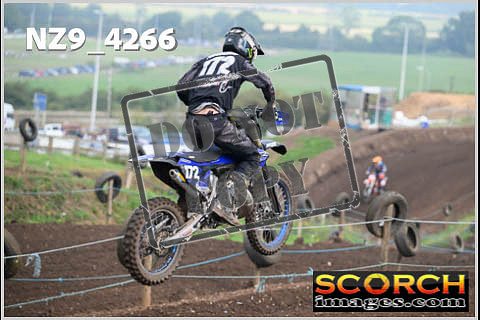 Experts-119