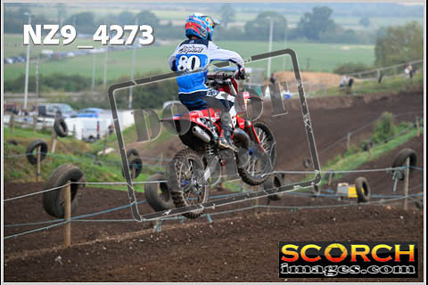 Experts-126