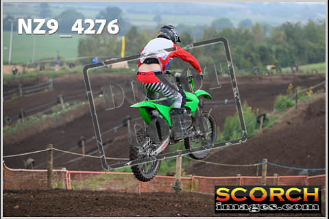 Experts-129
