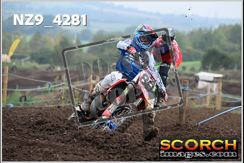 Experts-133