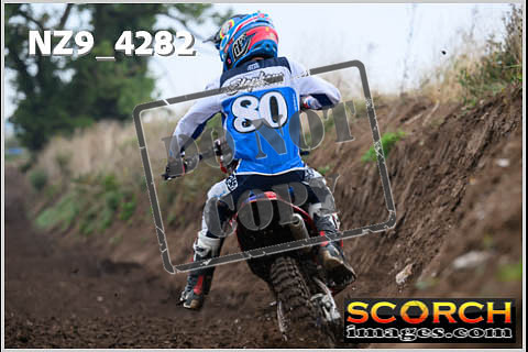 Experts-134