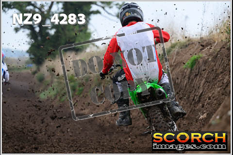 Experts-135