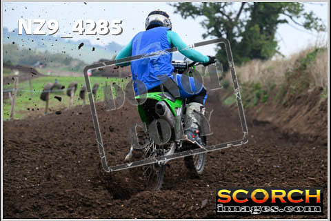 Experts-137