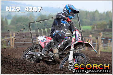 Experts-139