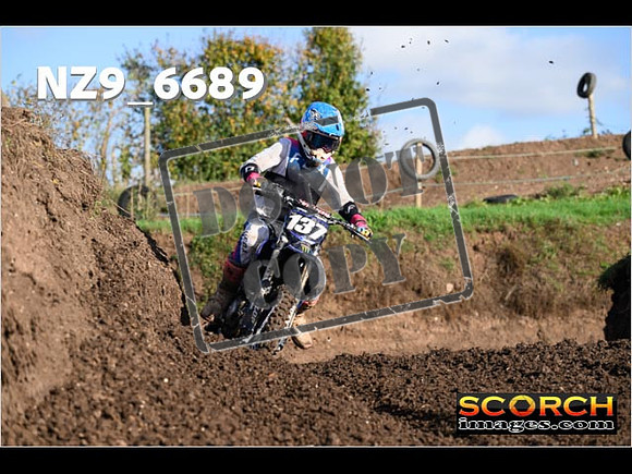 Experts-085