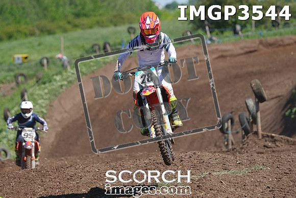 IMGP3544