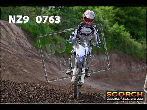 IntersGreen-295