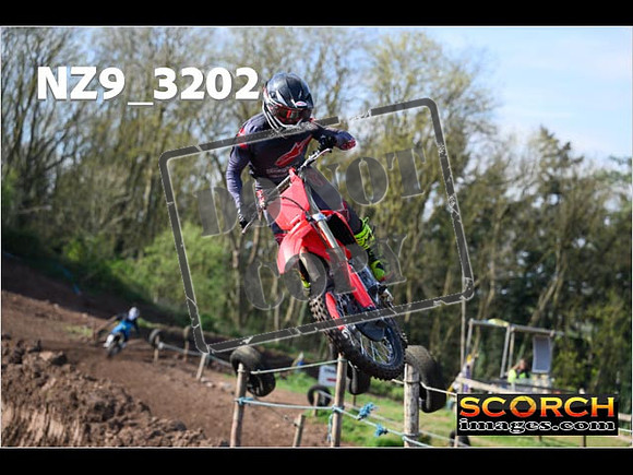 Experts-062