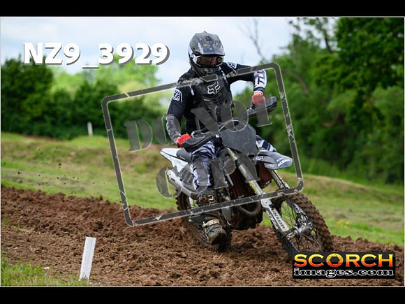 Experts-039