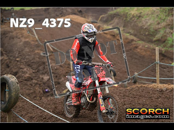 Experts-221