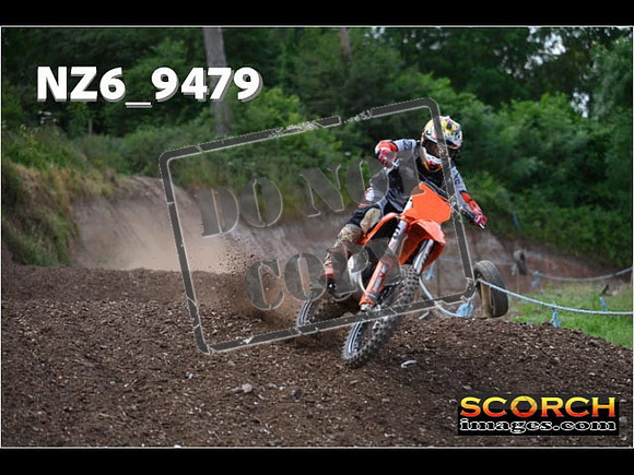 Experts-243