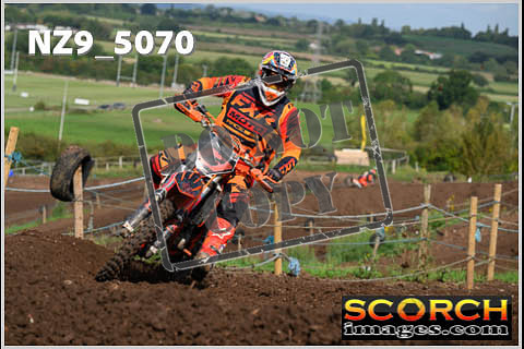 Apex-204