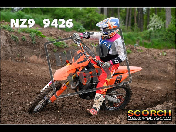 Experts-134