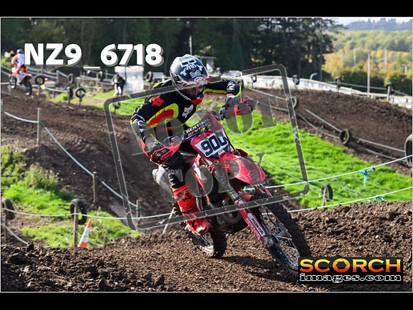 Experts-113