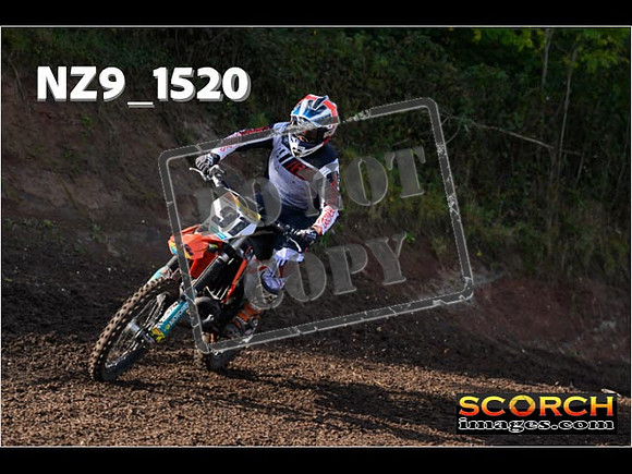 Experts-210