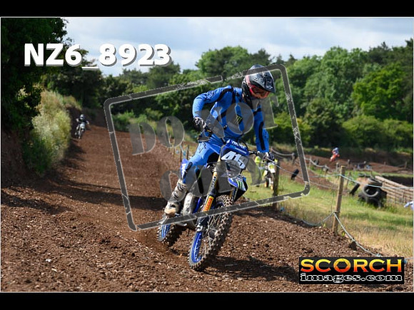 IntersGreen-082