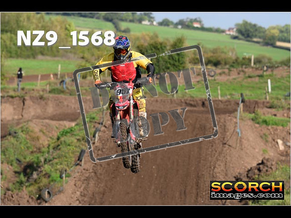 Experts-251