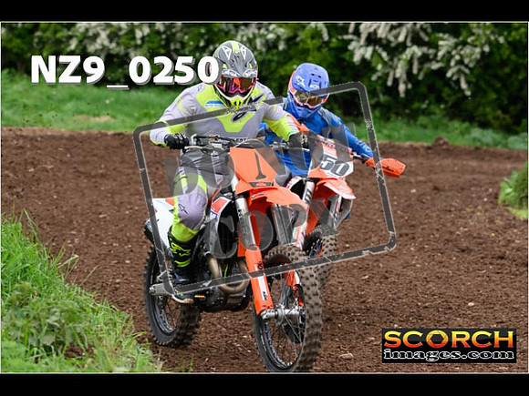 IntersGreen-200