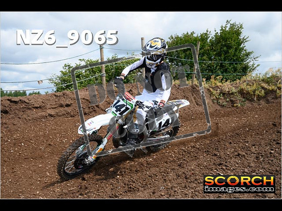 Experts-130