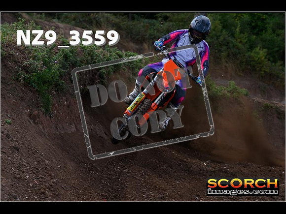 Experts-116